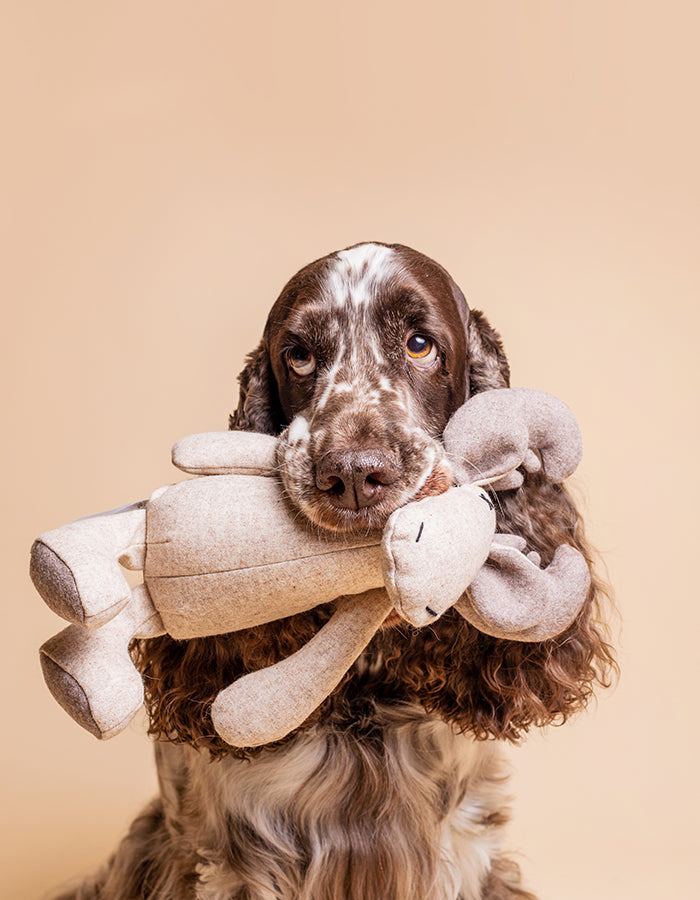 Hundespielzeug MARLEY das Rentier