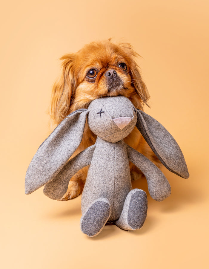 Hundespielzeug RUPERT das Kaninchen