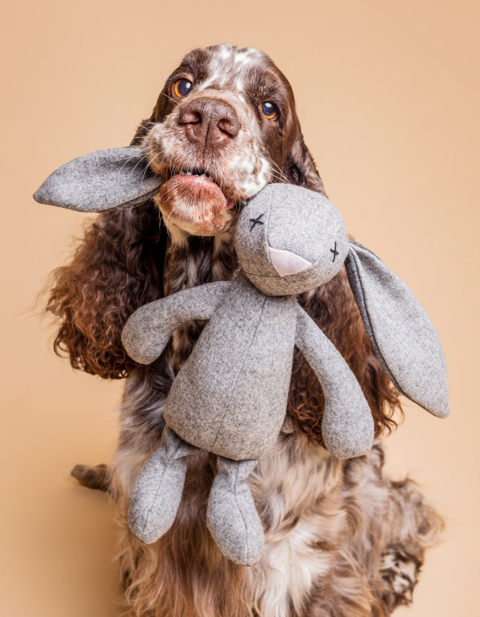 Hundespielzeug RUPERT das Kaninchen