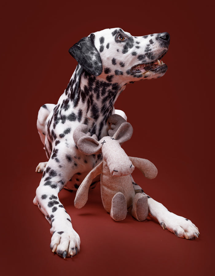 Hundespielzeug MARLEY das Rentier