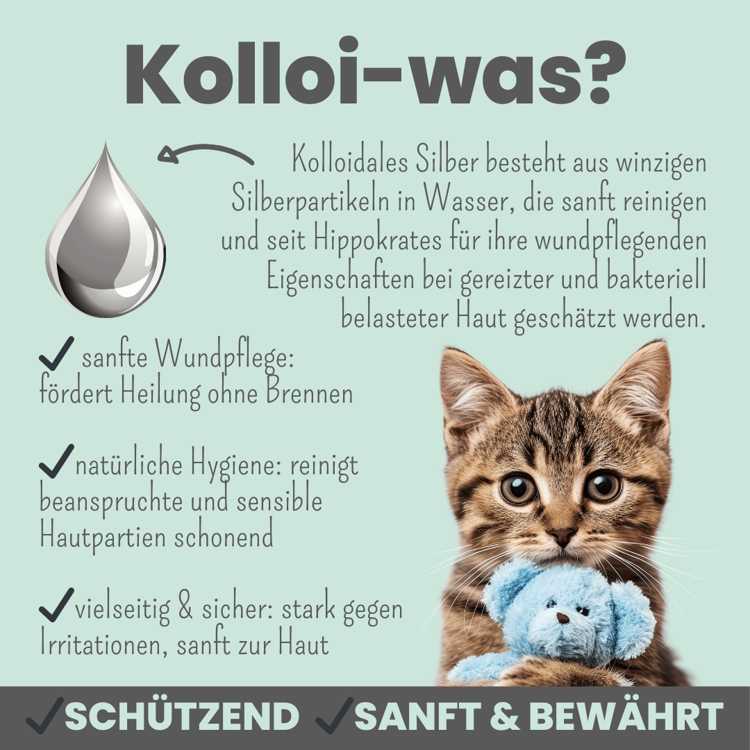 Silberspray für Hunde und Katzen mit 50ppm (100ml)