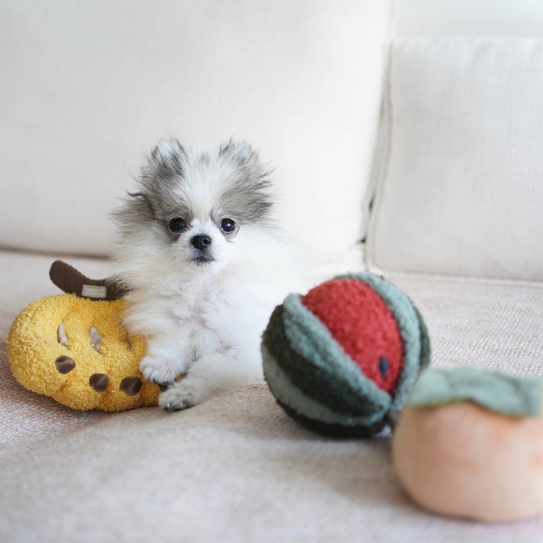 Hundespielzeug Watermelon Pop Schnüffelspielzeug