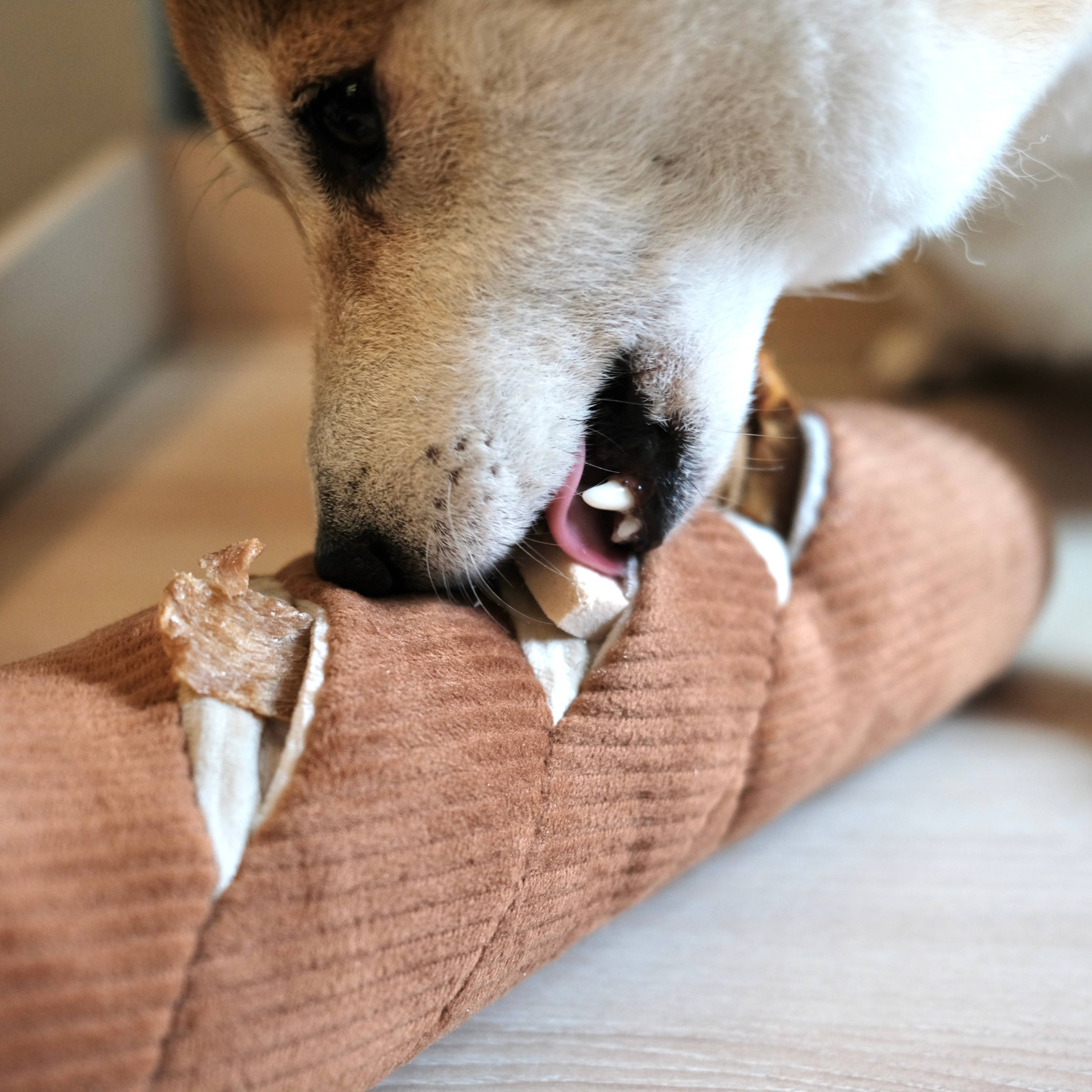 BAGUETTE//ENRICHMENT HUNDESPIELZEUG Lambwolf Collective 