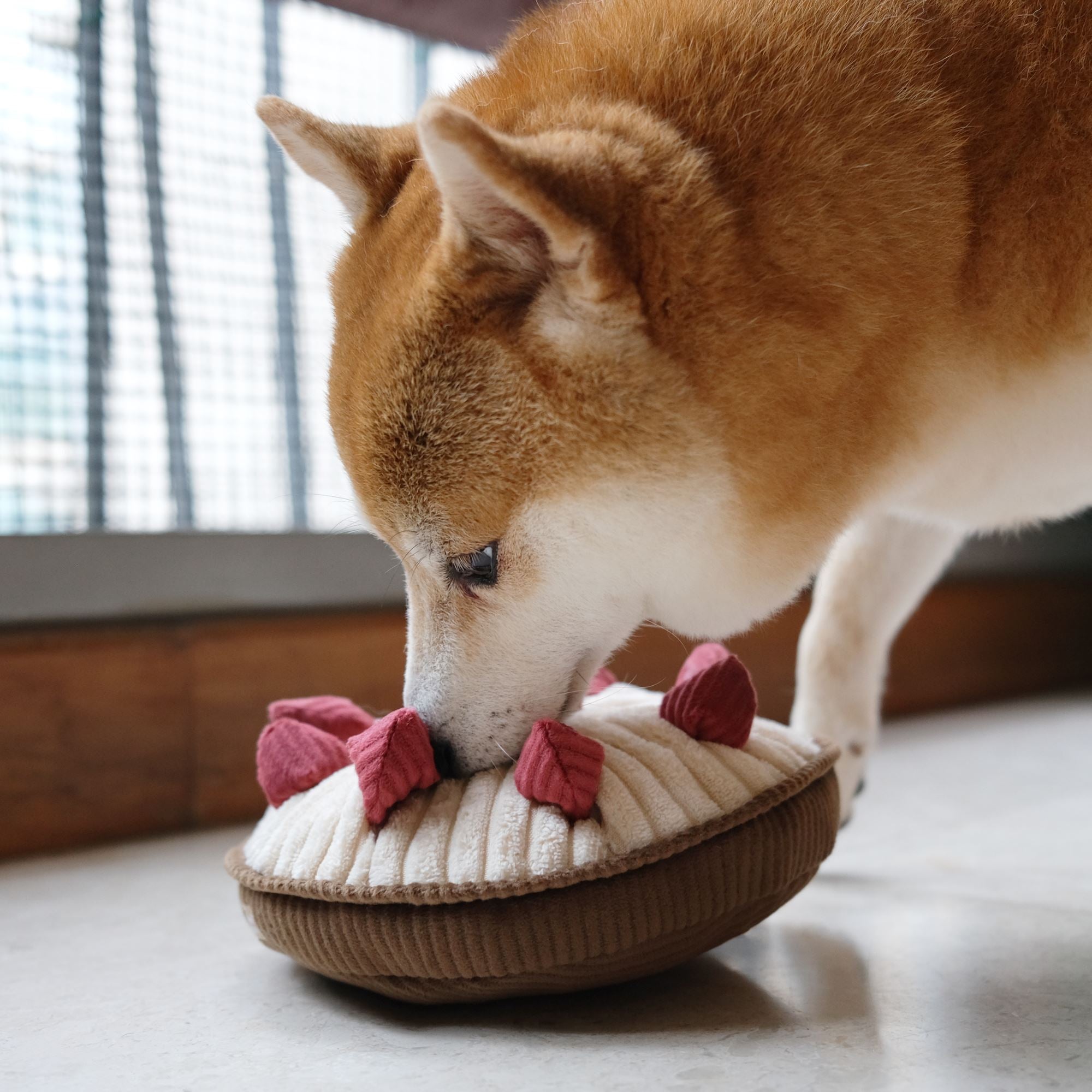 BERRY PIE//ENRICHMENT HUNDESPIELZEUG Lambwolf Collective 