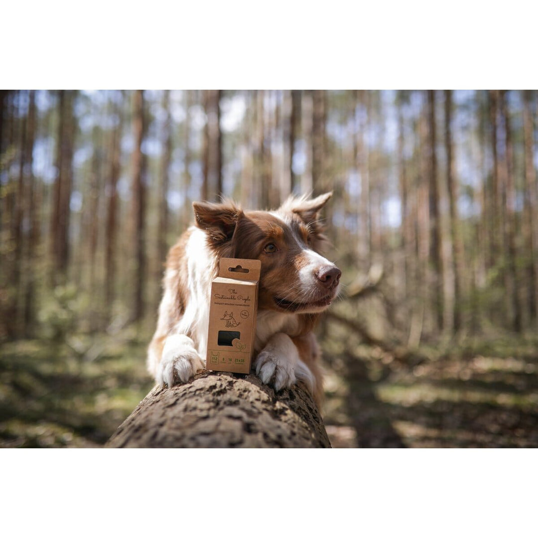 Biologisch abbaubare Hundekotbeutel mit Griffen The Sustainable People 