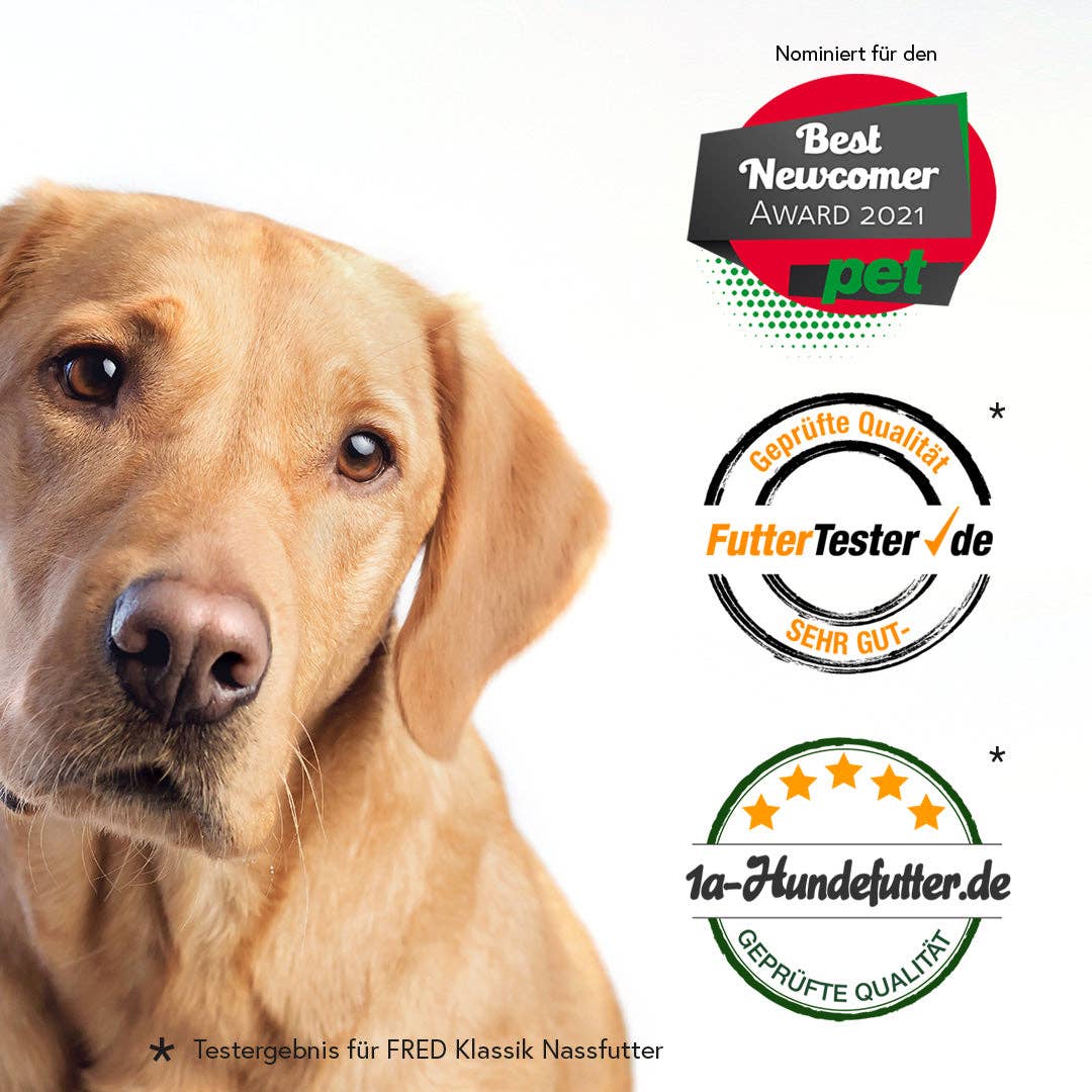 FRED Rind mit Nudeln - WOOF DELI
