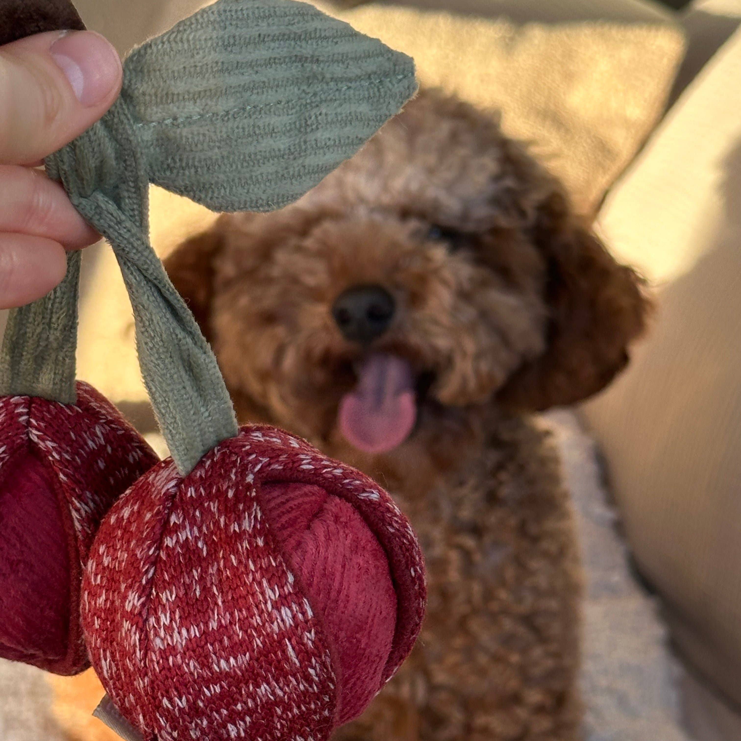 CHERRY POP//BEREICHERUNGSSPIELZEUG FÜR HUNDE Lambwolf Collective 