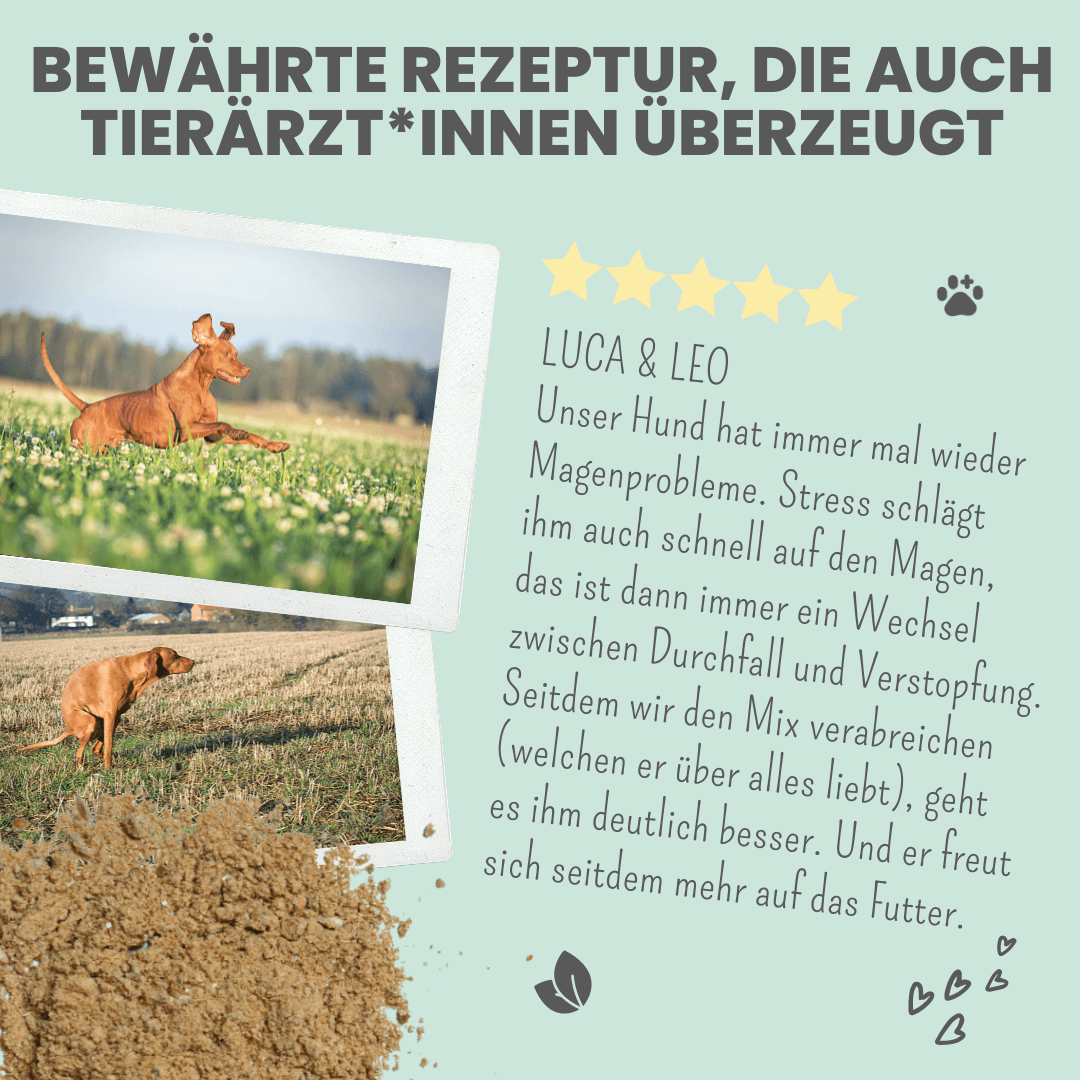Verdauungsmix für Hunde als Präbiotikum für Magen- & Darmflora - WOOF DELI