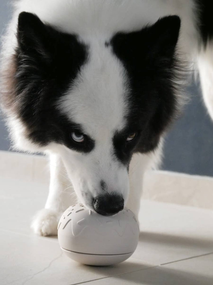Beschäftigungsspielzeug für Hunde - Yoomy Donut - Sand - WOOF DELI