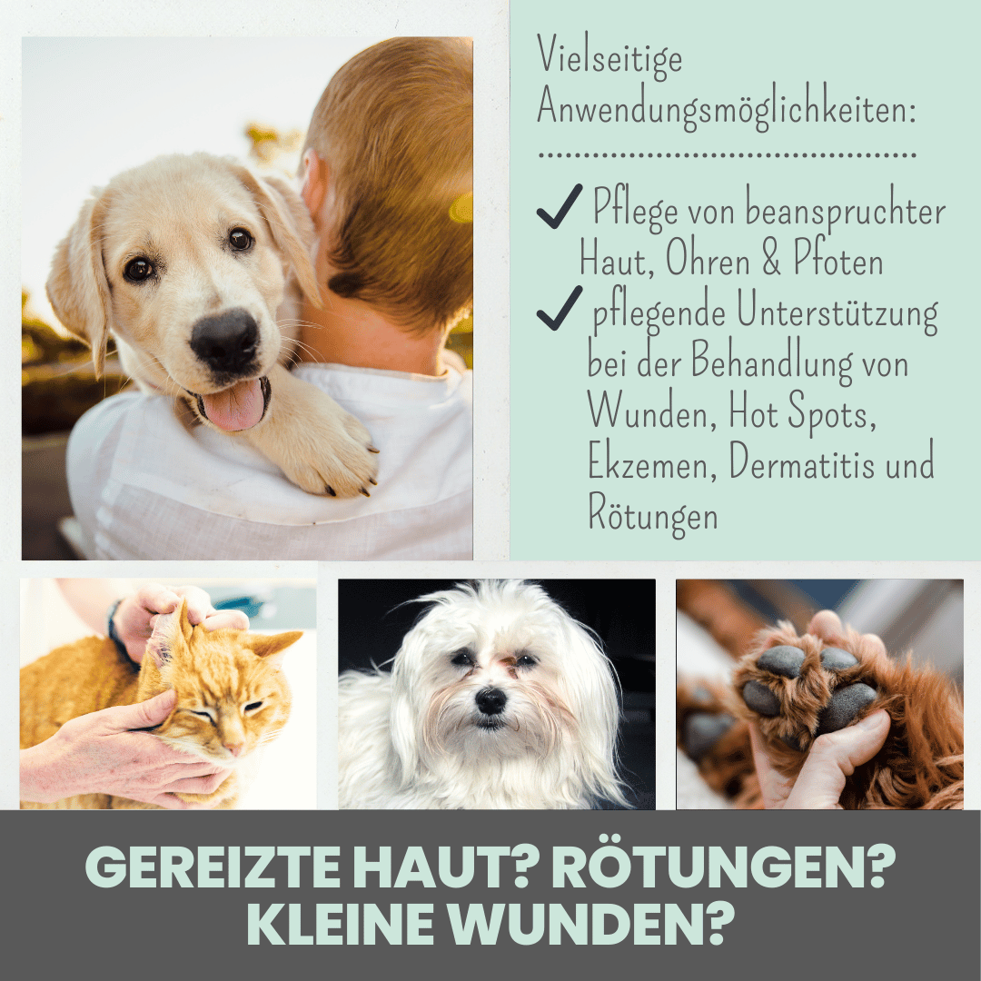 Silberspray für Hunde und Katzen mit 50ppm (100ml)