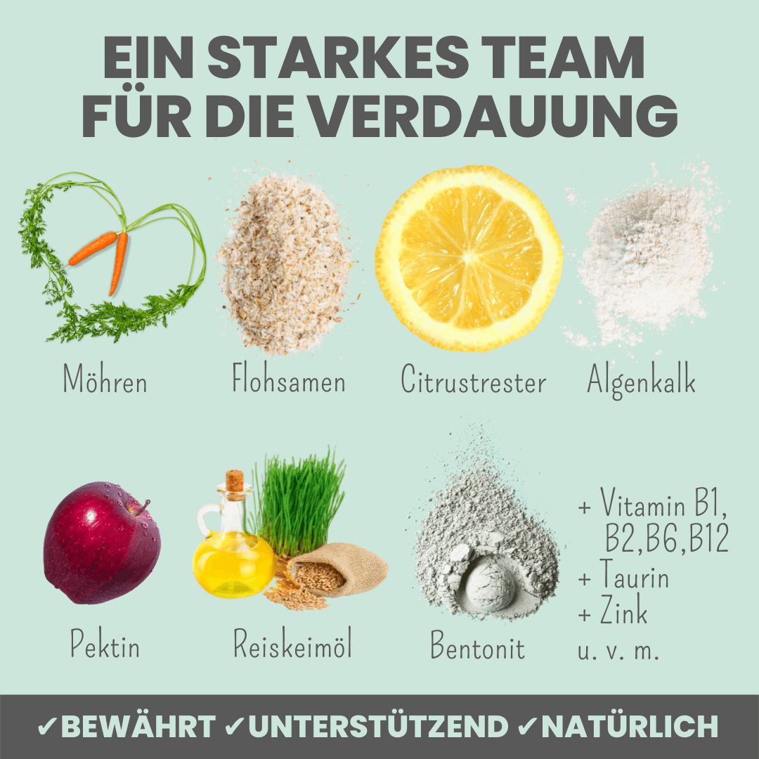 Verdauungsmix für Hunde als Präbiotikum für Magen- & Darmflora - WOOF DELI