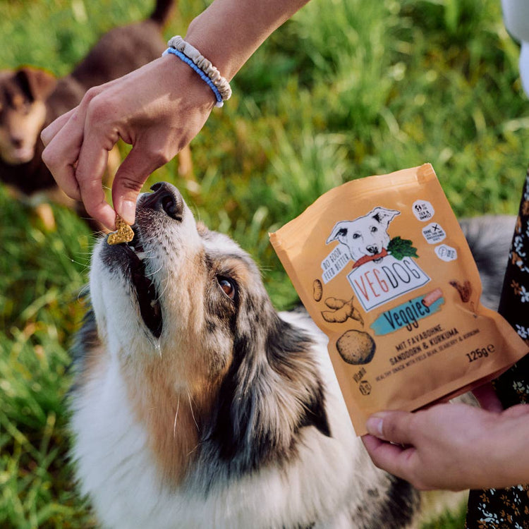 VEGGIES immune 125 g - WOOF DELI