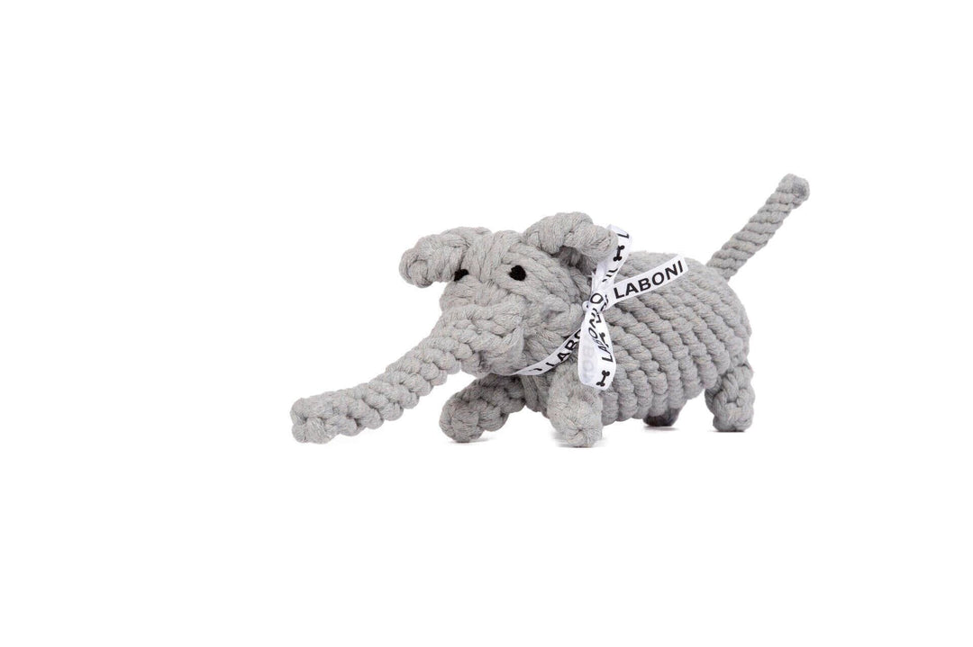 Elton Elefant LABONI - Volentis GmbH 