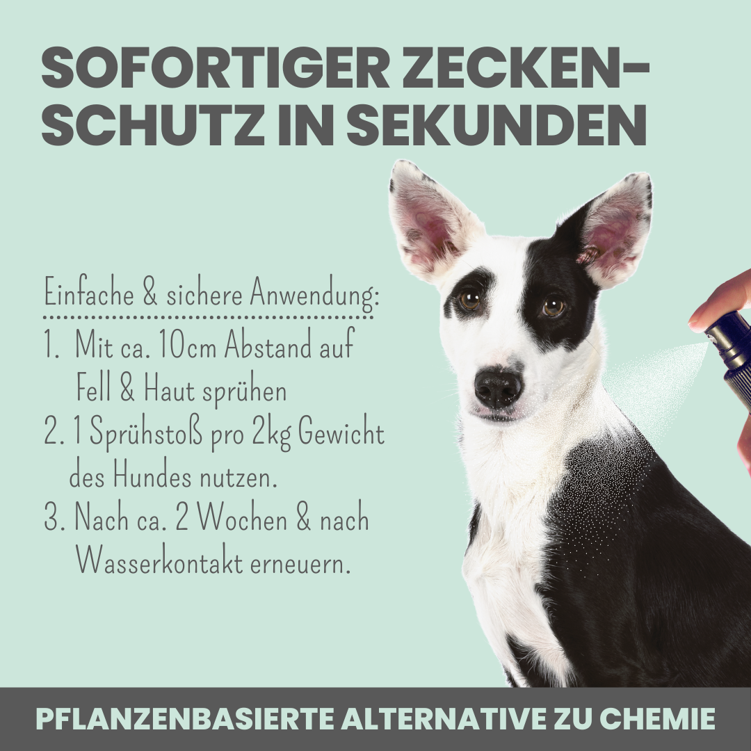 Zpray für Hunde gegen Zecken, Flöhe, Milben & Mücken - WOOF DELI