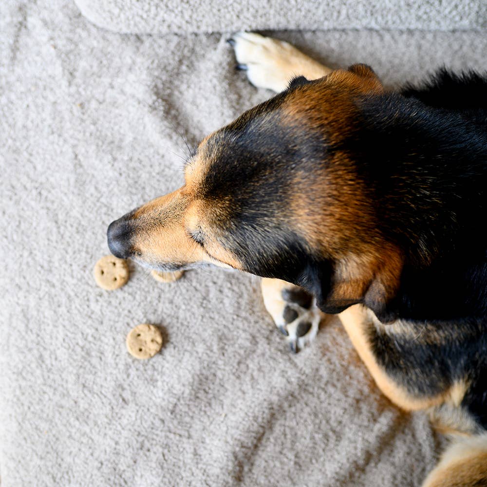 BEDTIME COOKIES 400 g - WOOF DELI
