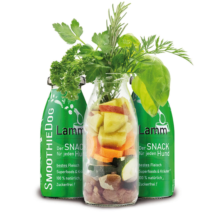 Hundesmoothie - Lamm SmoothieDog 