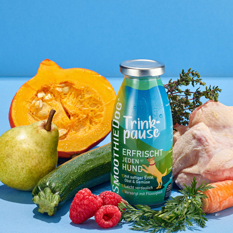 Hundesmoothie - Trinkpause Ente SmoothieDog 