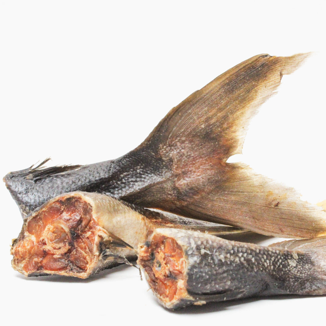 Kingfisch Flosse WOOF DELI 