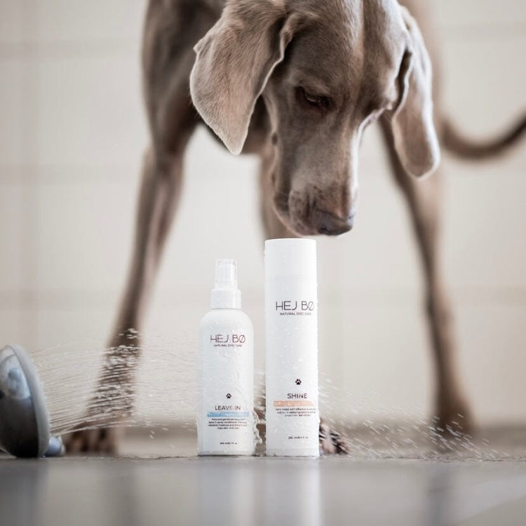 Shampoo Shine HEJ BØ 