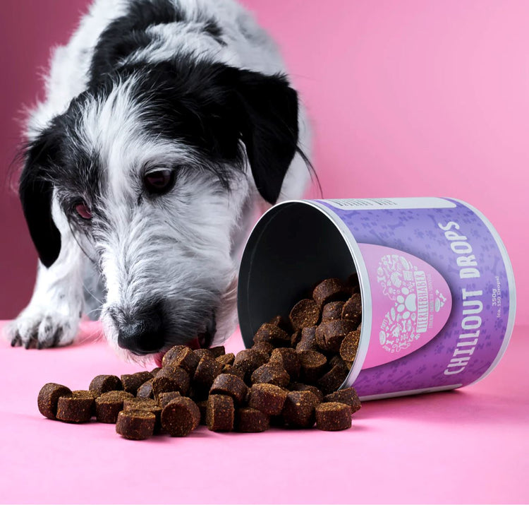 Tierliebhaber - Chillout Drops WOOF DELI 