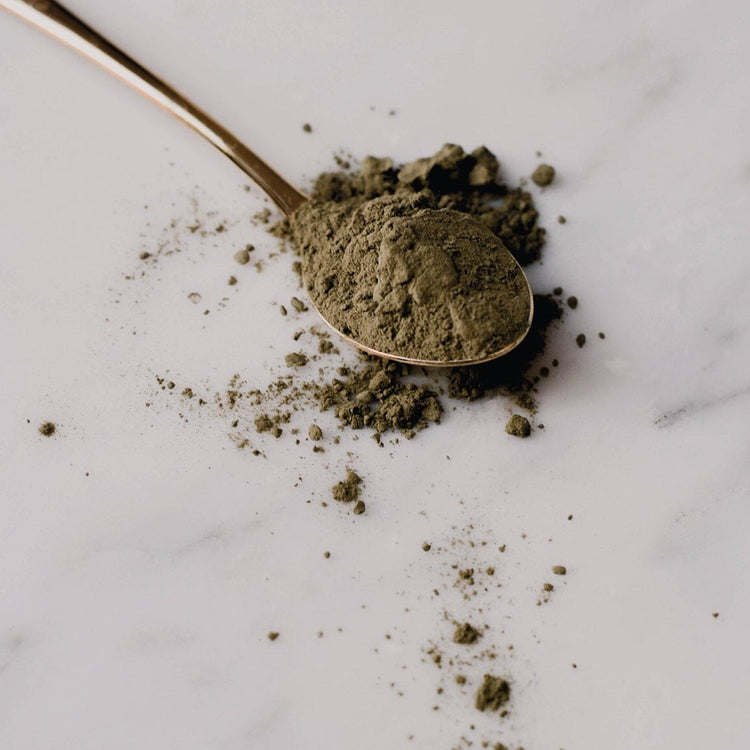 Immun POWER - natürliches Pulver zur Unterstützung des Immunsystems WOOF DELI 